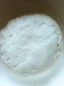 芝麻椰蓉白糖餅的做法 芝麻椰蓉白糖餅怎么做